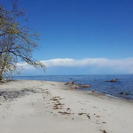 Gospodarstwo wiejskie Bullers-gita Talu *