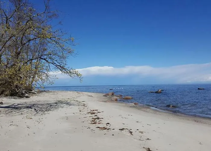 Gospodarstwo wiejskie Bullers-gita Talu *